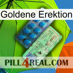 Golden Erection new02